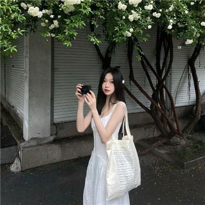 公园路的猫们